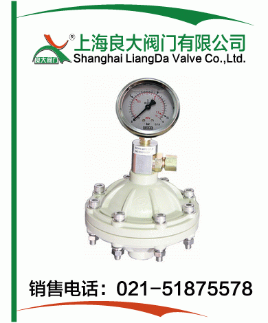 PP、PVDF脈沖阻尼器